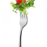 HCG Maintenance Phase HCG Maintenance Phase